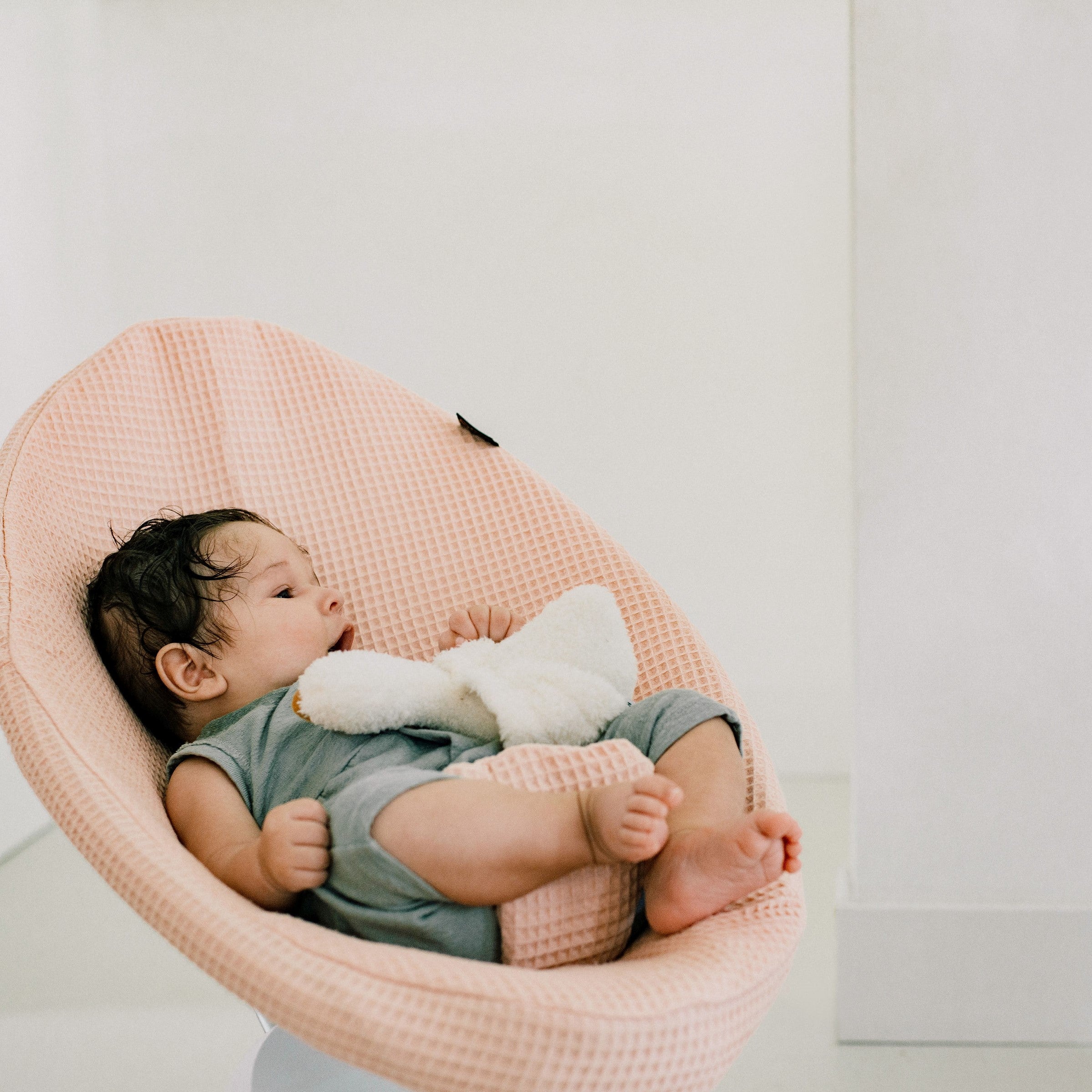 Baby bjorn bouncer vs 2024 mamaroo